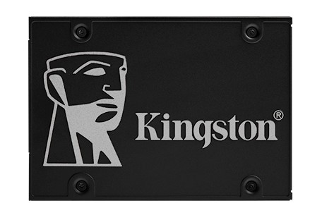 Kingston FURY Renegade G5 PCIe NVMe M 2XS1000 SSD interno ecc