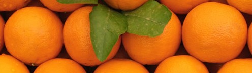 Naranjas Frutas Color Orange RGB Codesolar Peter May